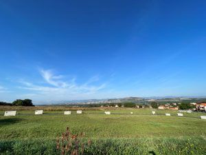 terrain mur sur allier 3